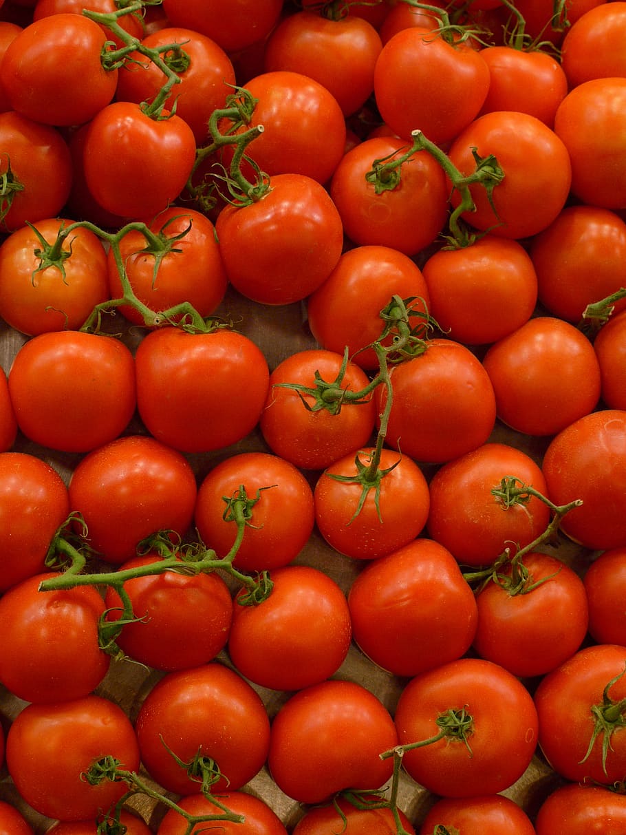 tomatoes, food, fruit, eat, sano, alimentari, vegetables, cool, delicious, nutrition