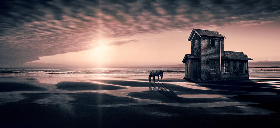 fantasía, paisaje, casa, playa, cielo, sol, contraste, luz, caballo, retroiluminación
