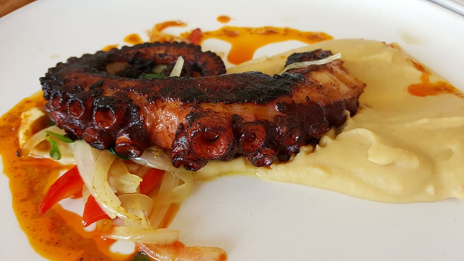octopus, grilled, chili oil, food, appetizing, gastronomy, food and drink, ready-to-eat, plate, meat