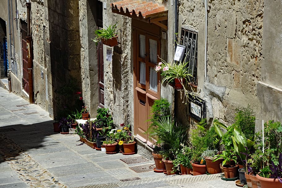 sardinia, cagliari, historic center, italy, facade, plant, pots, house entrance, stairs, potted plant