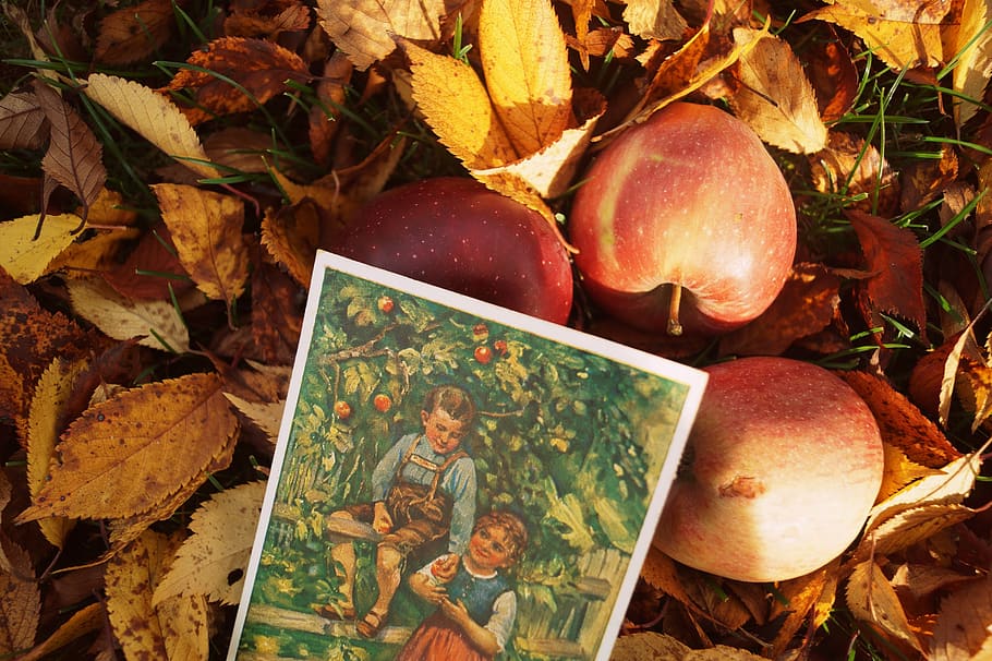 otoño, vendimia, retro, hojas, postal, colores de otoño, estado de ánimo de otoño, octubre, manzana, fruta