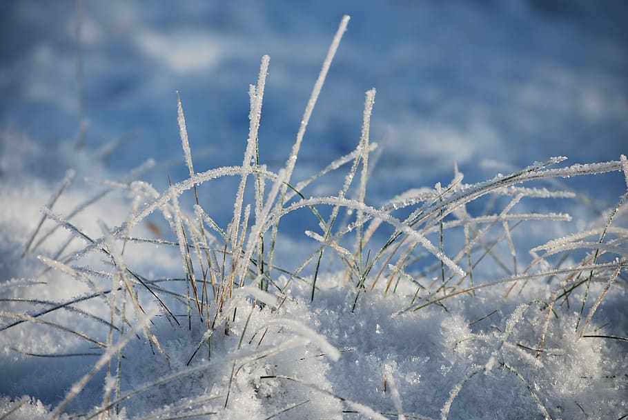 Как сделать рыхлый снег. Зима иней хроомокей. Frostbite Winter. Зимний Фрост.