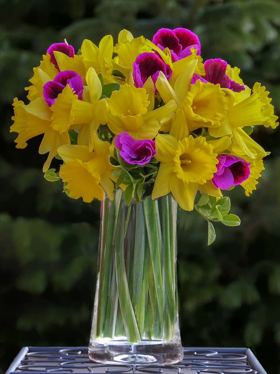 bouquet, daffodils, osterglocken, yellow, flower purple, vase, spring, easter, flower, flowering plant