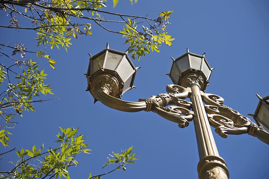 lanterna, céu, ramos, árvore, silhueta, arquitetura, iluminação pública, urbano, luz, árvores