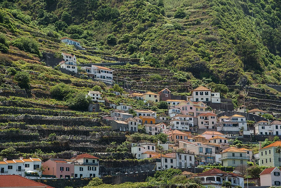 Portugal, Madeira, Porto Moniz, pueblo, exterior del edificio, arquitectura, estructura construida, árbol, edificio, planta