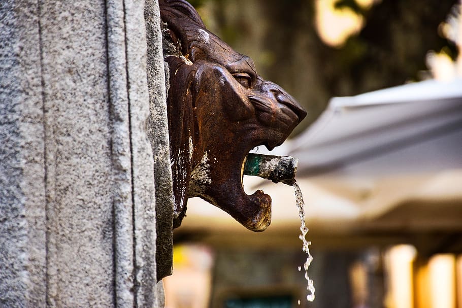 aix-en-provence, fountainhead, old fountain, lion head, water spout, explore, vacation getaway, places, france, provence