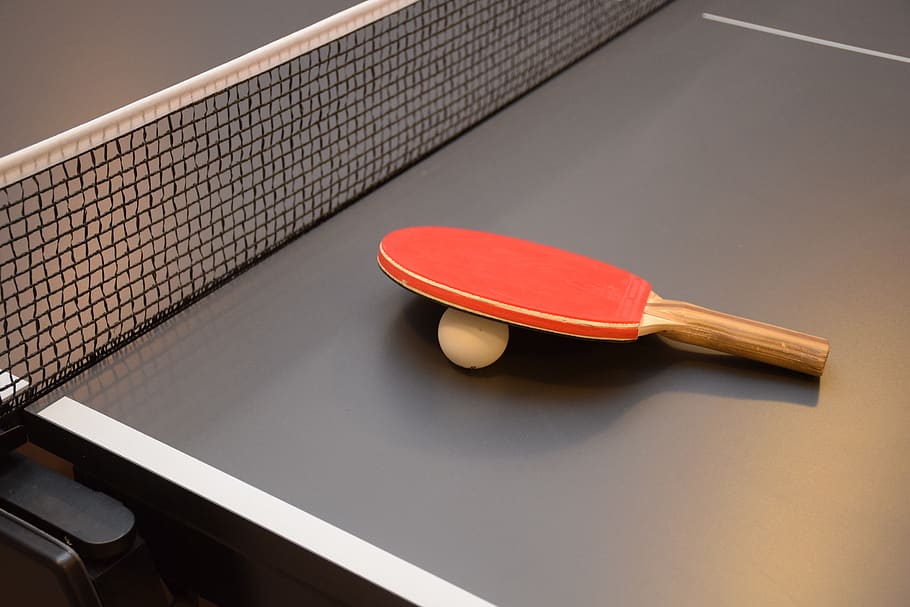 tenis meja, pingpong, meja, bat, olah raga, permainan, jaring, putih, abu-abu, raket