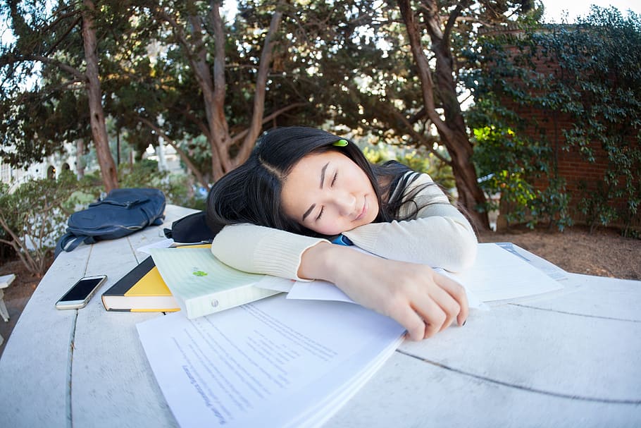 estudiante, niña, estudio, alumno, cansado, mujer, parque, al aire libre, durmiendo, pacífico