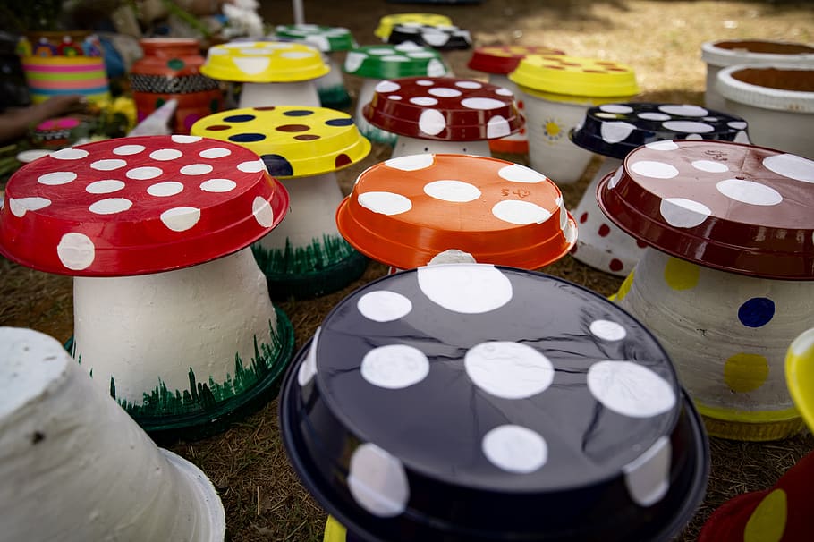 colours, mushroom, art and craft, colorful, ladybug, color, toadstool, psychedelic, art, creation