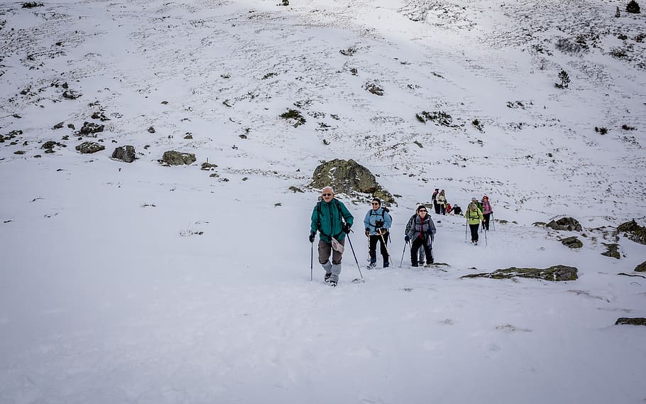 bouleste, pyrénées, mountain, snow, group, hiking, winter, cold temperature, real people, leisure activity