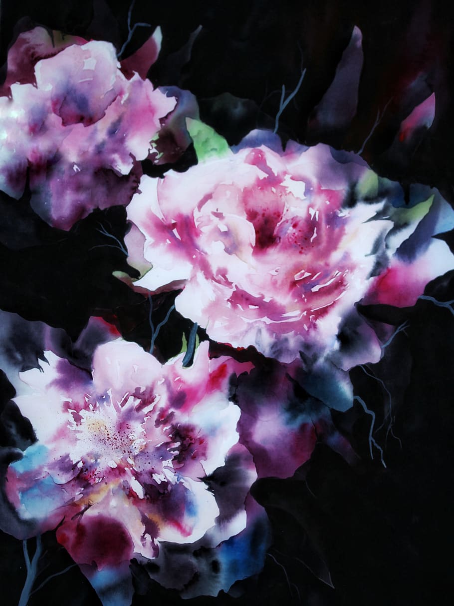 watercolour, peony, peony bouquet, flowers, black background, noble, beautiful, greeting card, painted, art