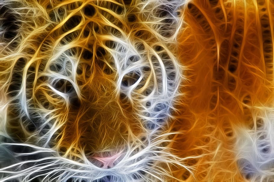 art, fractal, tiger, mathematical, texture, colorful, pattern, backgrounds, close-up, burning