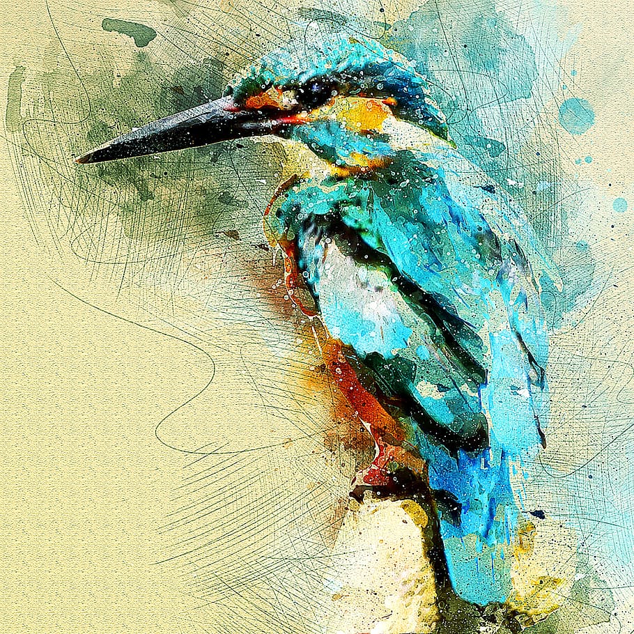martinho pescatore, pássaro, animais selvagens, retrato, colorido, cores, bela, membro, ramo, natureza