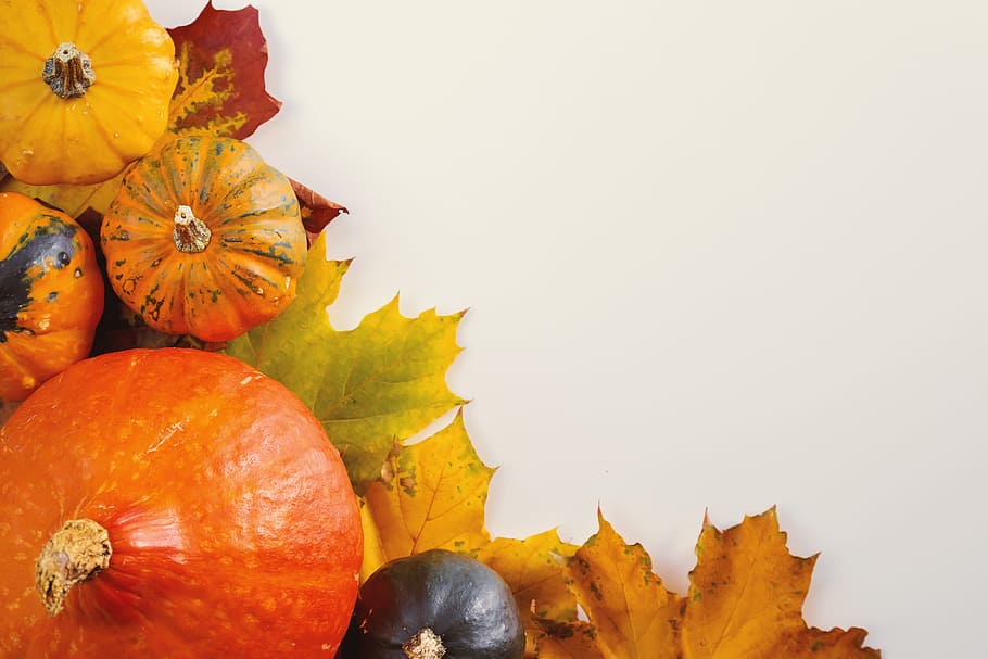 pumpkins, white, background, autumn, leaves, food, food and drink, pumpkin, copy space, fruit