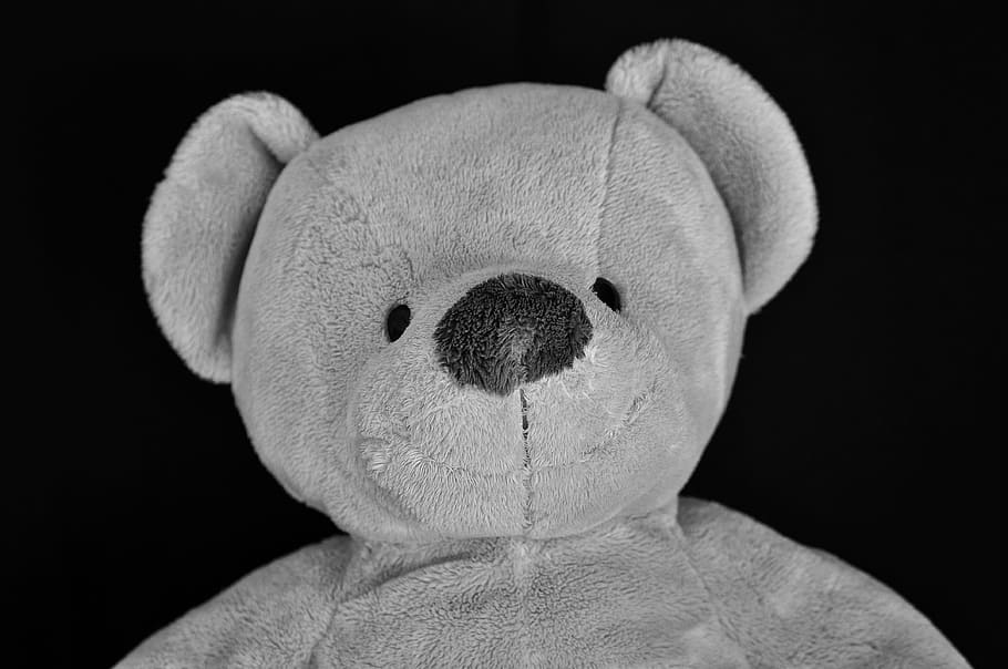 Ted, peluche, oso, juguete, cosas, relleno, suave, infancia, tiro del estudio, representación