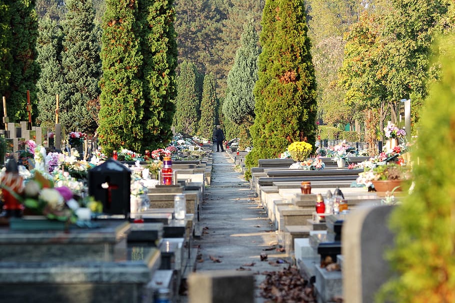 city cemetery zagreb, miroševac, graves, marble, cypress, flowers, arhitecture, nature, outdoor, tree