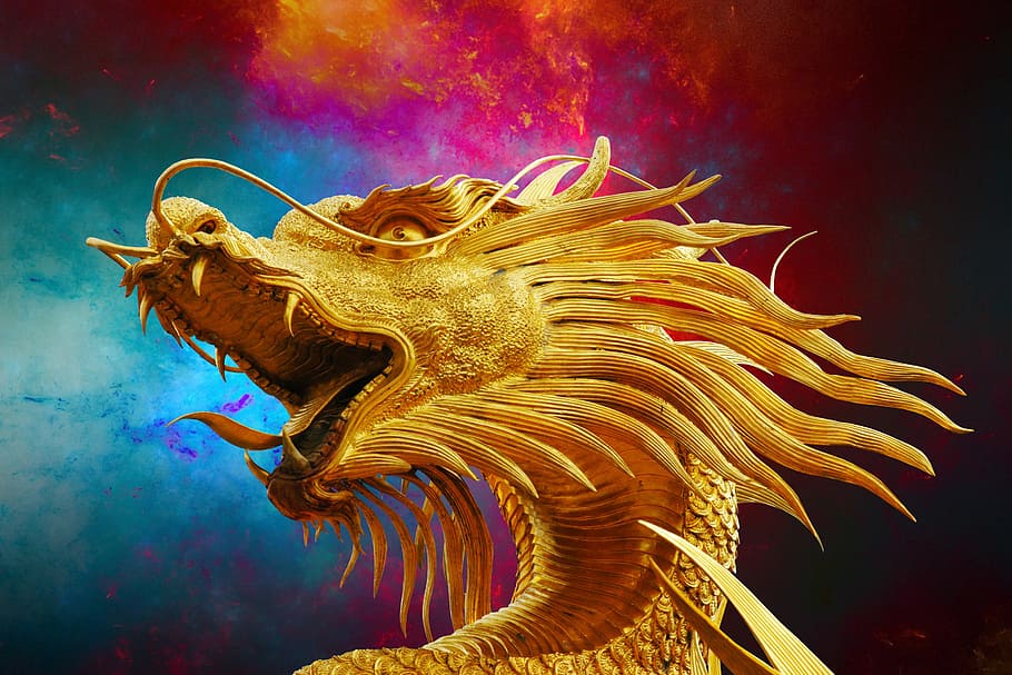 golden dragon, various, thailand, art and craft, animal, dragon, illuminated, water, animal themes, creativity