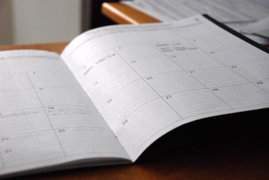 perencana hari, kalender, penyelenggara, jadwal, bulanan, bulan, hari, kertas, notebook, janji