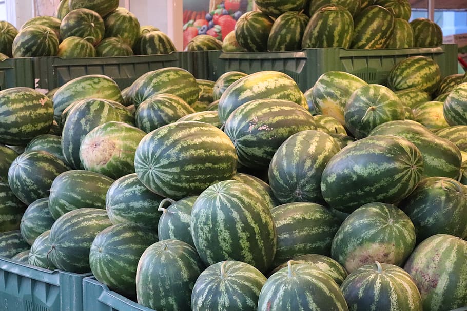 watermelon, sale, market, agriculture, healthy, food and drink, freshness, healthy eating, food, wellbeing