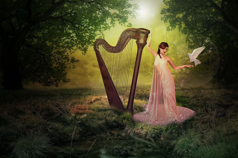 harp, forest, fairy, pigeon, women, one person, full length, plant, tree, young adult