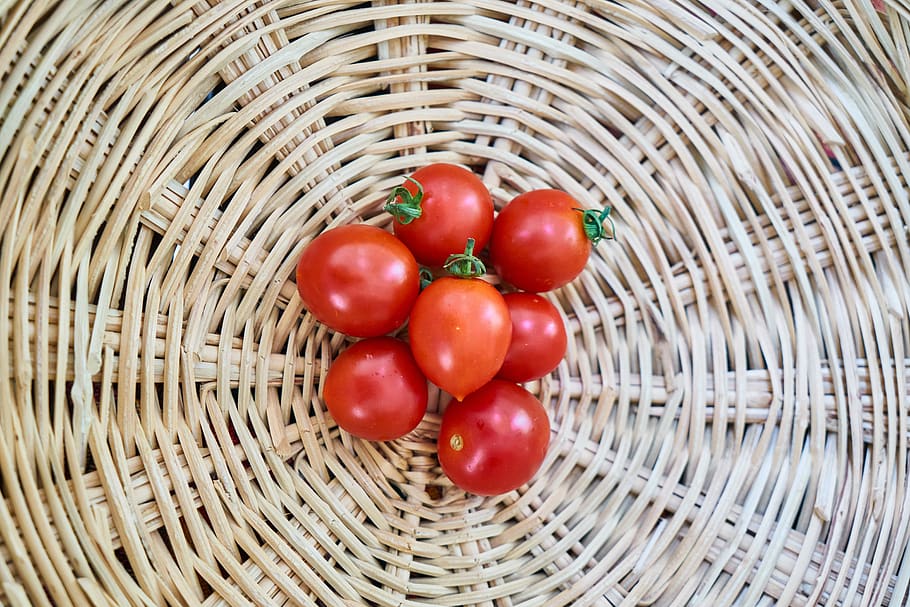 tomato, basket, food, wire mesh, middle, vegetable, harvest, vegetarian, healthy, fresh