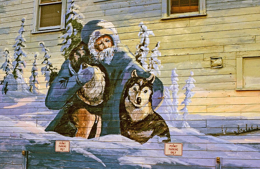 pintura mural, viejo, hombre, dos, perros de trineo, pared, arte, artista, colorido, decoración