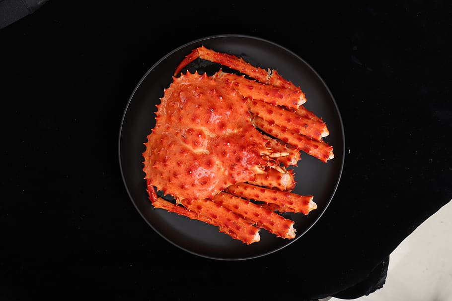 cooked frozen, king crab, seafood, food, food and drink, indoors, healthy eating, freshness, meat, wellbeing