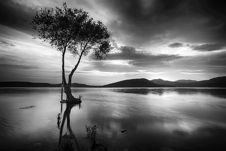 black white, lake, landscape, trees, clouds, river, reflection, sky, treeinwater, waters