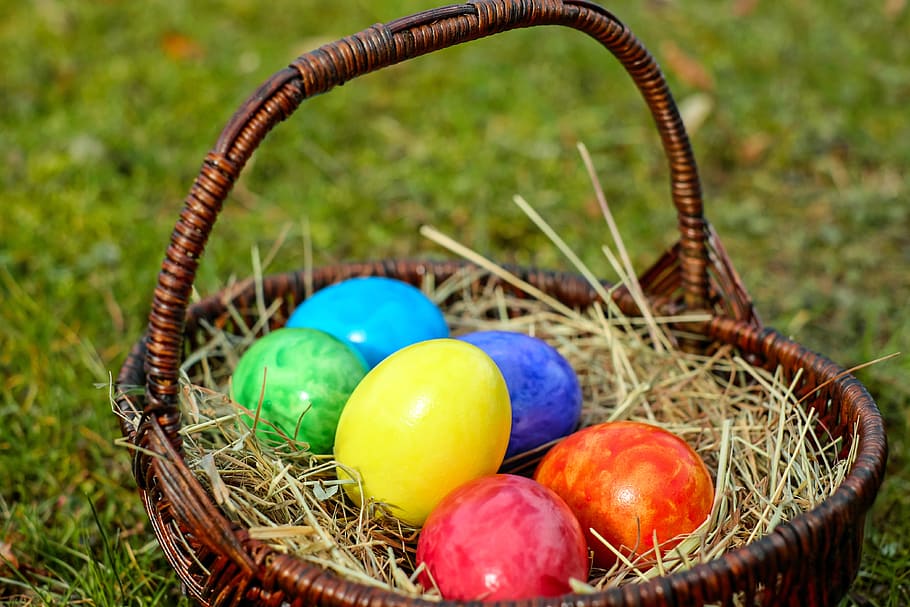 telur paskah, keranjang, warna, warna-warni, paskah, telur, perayaan, makanan, liburan, makanan dan minuman