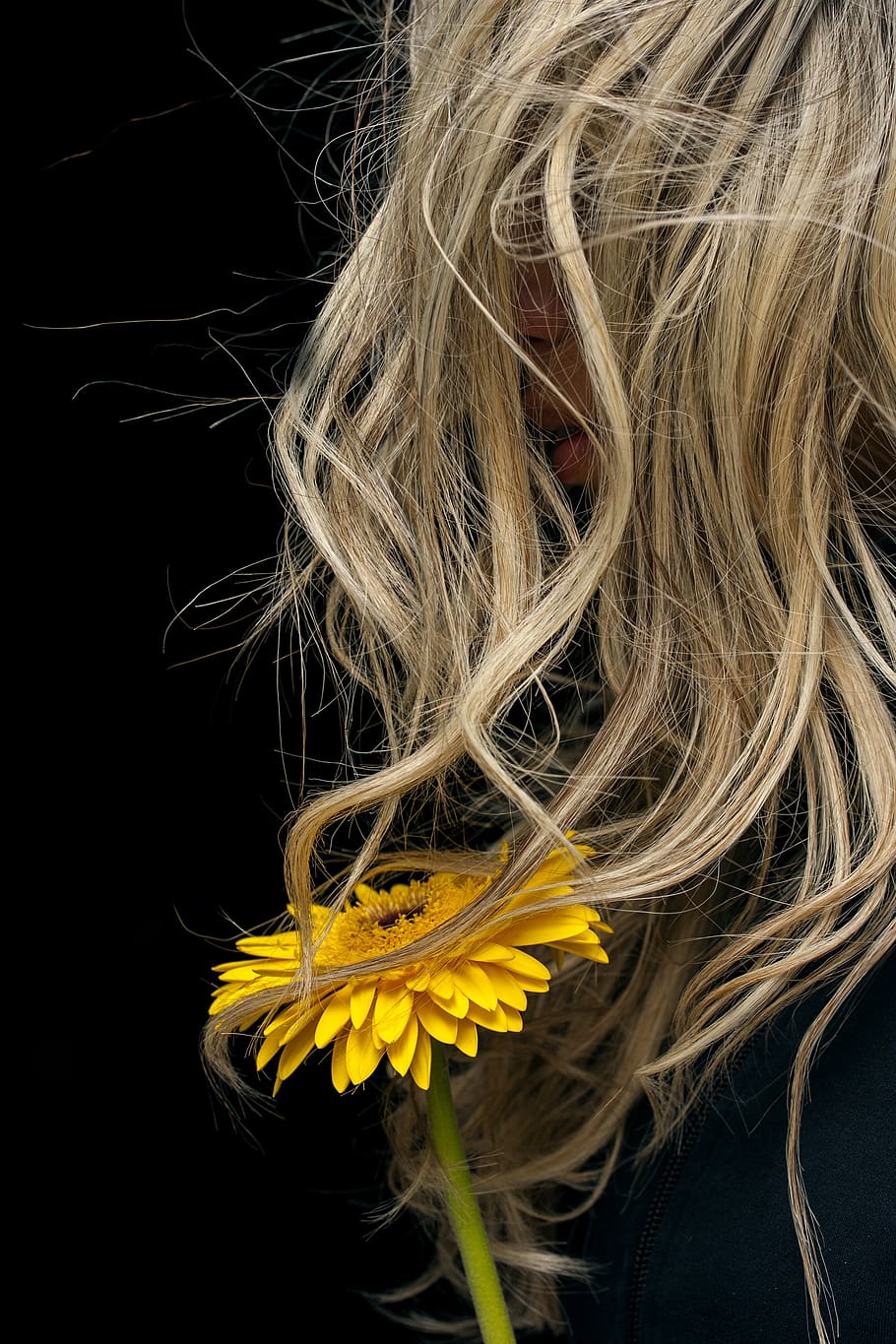 flor, mujer, cabello, amarillo, viento, retrato, romántico, solo, triste, separación