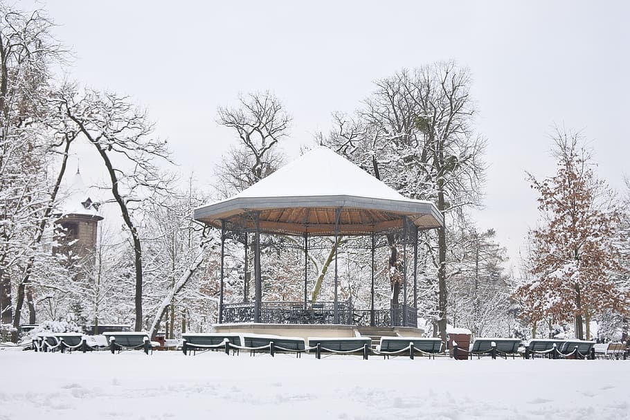 snow, kiosk, garden, paris, winter, city, cold temperature, tree, architecture, built structure