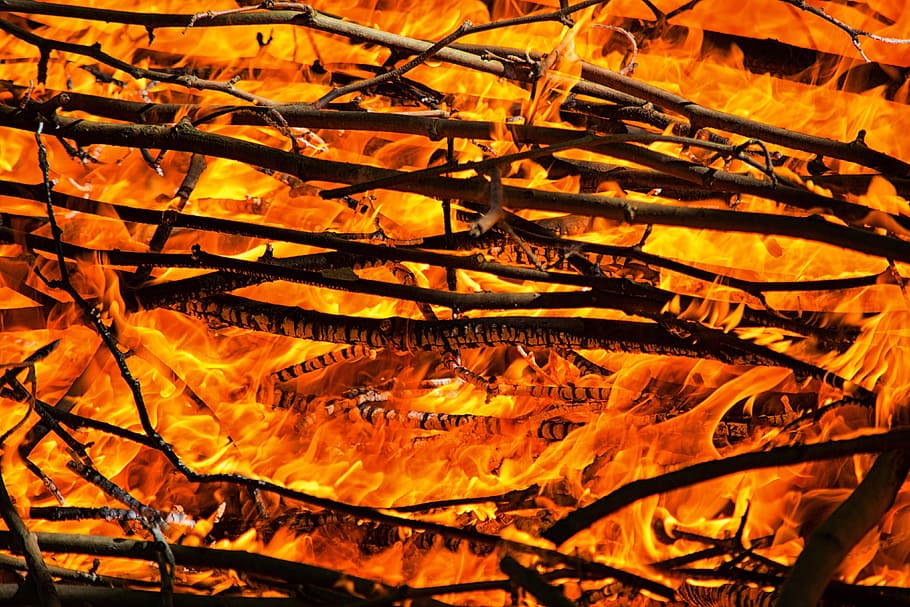 fuego ardiente, naturaleza, fuego, color naranja, llama, calor - temperatura, ardor, primer plano, fuego - fenómeno natural, nadie
