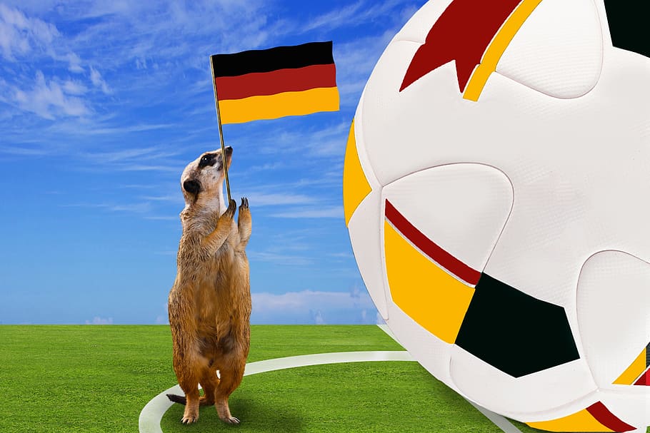 sport, football, world cup, world cup 2018, ball, football pitch, fan, flag, football fan, germany