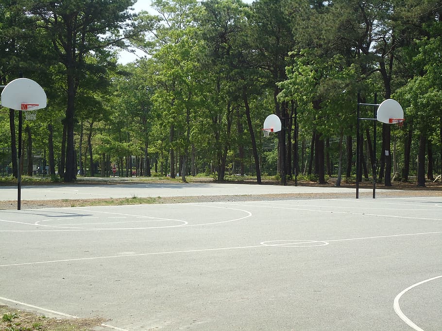 baskteball, court, hoop, outdoors, outside, basket, tree, plant, day, nature