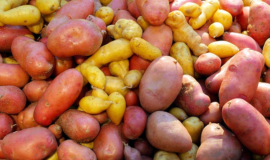farm market potatoes, farmers, potatoes, food, vegetables, produce, tuber, vegetable, healthy, harvest