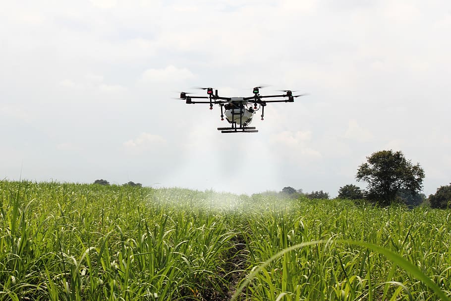 spraying sugar cane, sugar cane, drone farm, spray, colombia, agriculture, cultivation, fumigation, drone, fine drop