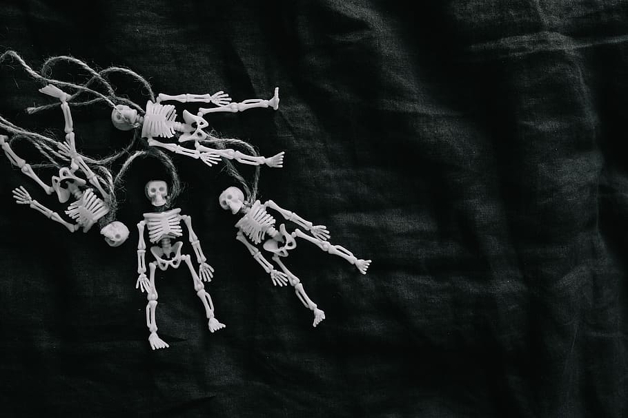dia das bruxas, -, humano, miniaturas de esqueleto, brinquedo, crânio, assustador, outubro, ossos, anatomia