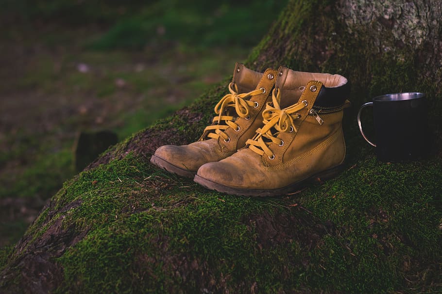 brown, cups, green, moss, shoes, trees, wood, yellow, shoe, grass