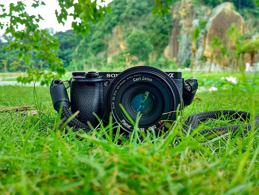cámara, lente, dslr, fotografía, negro, verde, hierba, patio de recreo, al aire libre, naturaleza