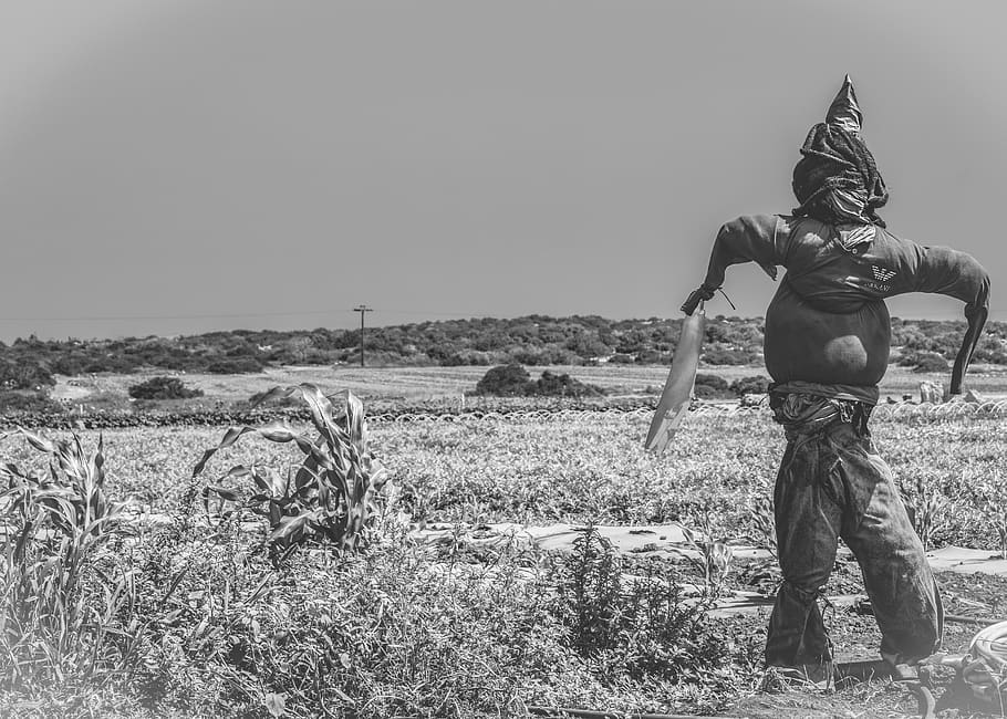 scarecrow, field, figure, protection, silhouette, creepy, scary, black and white, land, nature