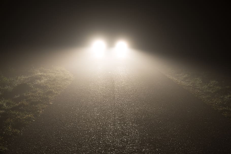 faróis, nevoeiro, noite, assustador, névoa, asfalto, carro, estrada, perigo, natureza