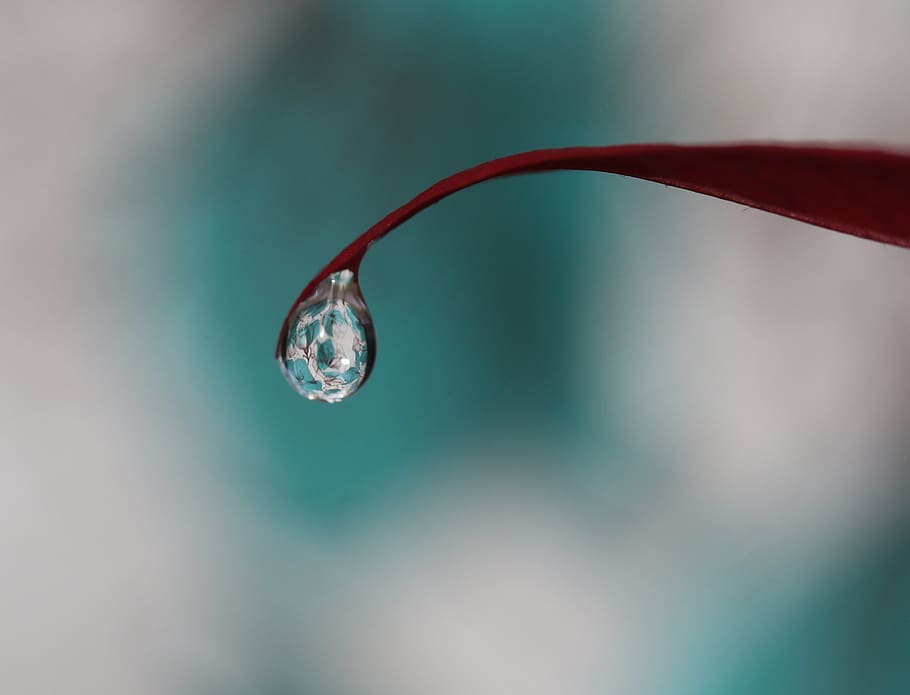 drop, water, macro, refractive, coloring, focus on foreground, nature, vulnerability, close-up, day