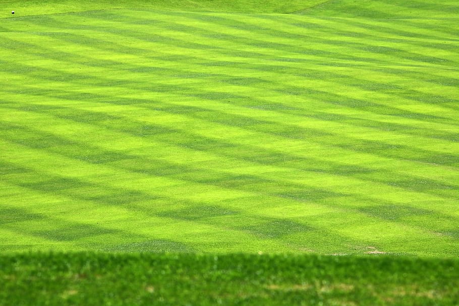 golf, golf course, grass, sport, green, golfers, field, nature, golf tournament, green color