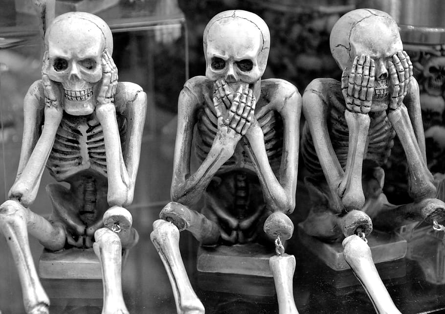 esqueletos, engraçado, não ouve nenhum mal, não fala mal, não vê expressão má, dia das bruxas, crânio, morto, branco, feliz