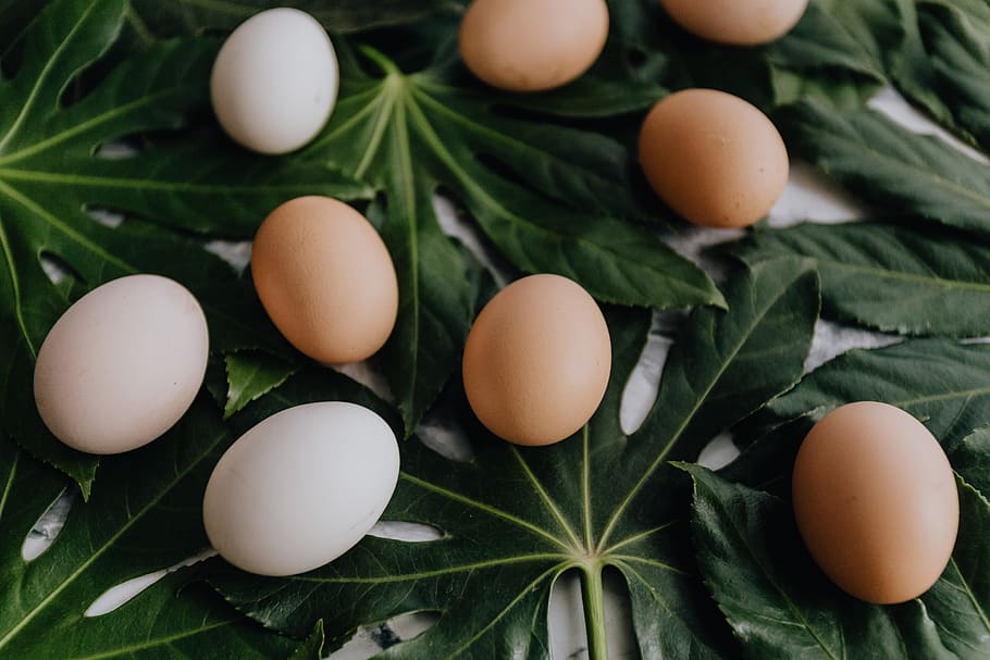 telur segar, makanan, di atas, organik, telur, paskah, flatlay, rata, bahan, makanan dan minuman