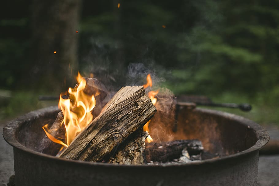 fire, chill, campfire, fireplace, evening, log, red, blaze, tree, bonfire
