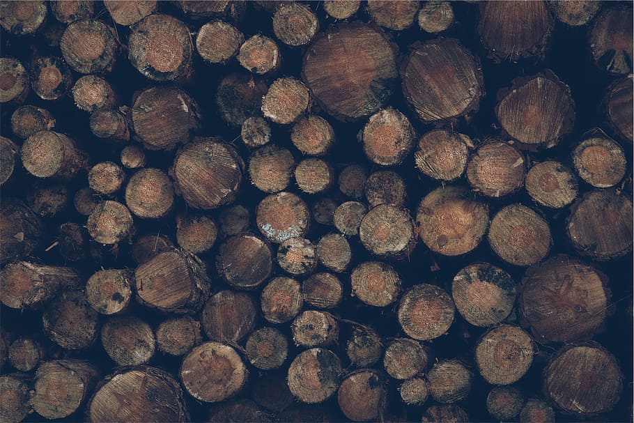 black, brown, wood, full frame, backgrounds, log, firewood, stack, large group of objects, timber
