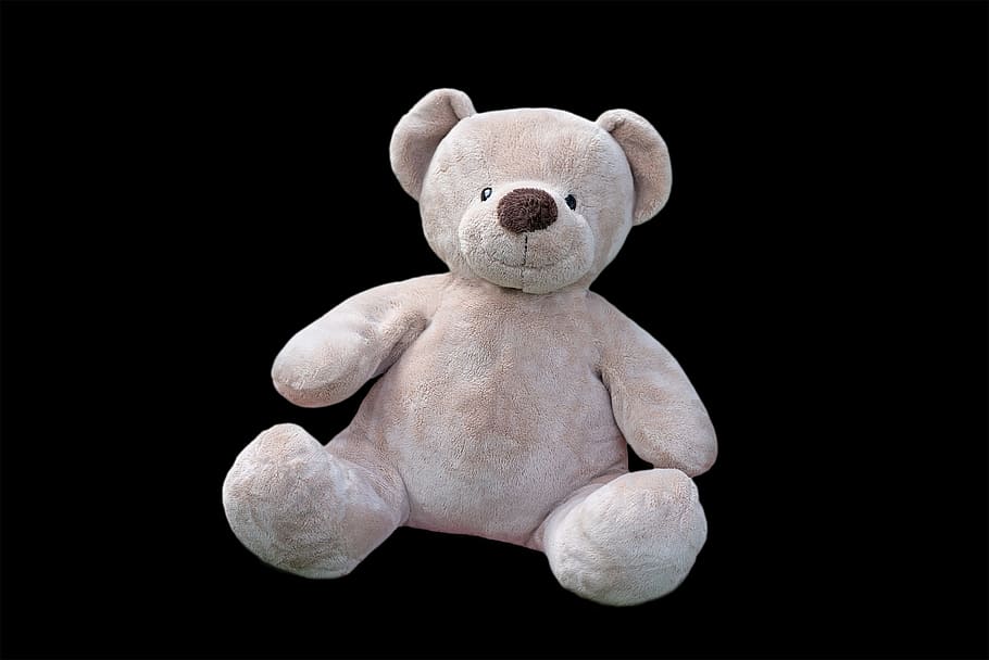 ted, toy, teddy, soft, bear, stuff, stuffed, stuffed toy, teddy bear, studio shot