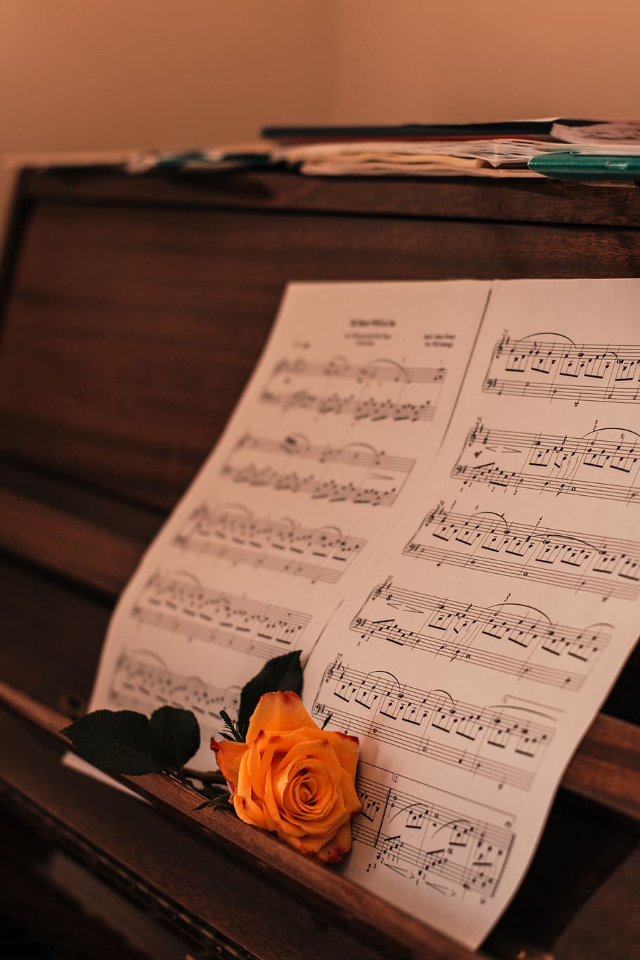 imagem de fundo, rosa, flor, romântico, amor, piano, música, publicação, livro, papel