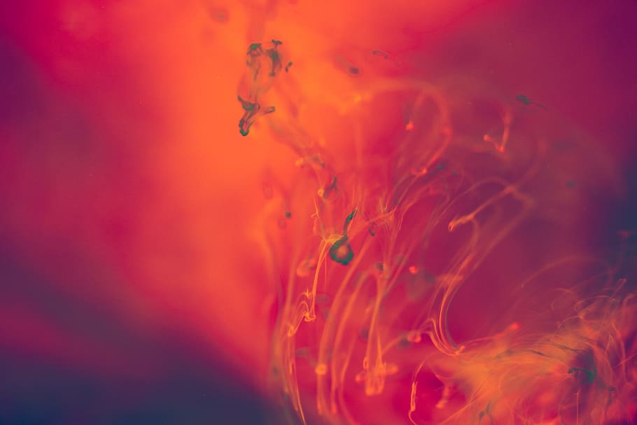 abstract, red, orange, liquid, background, explosion, flow, ink, minimalism, stream